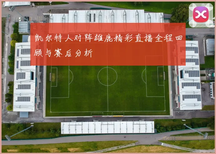凯尔特人对阵雄鹿精彩直播全程回顾与赛后分析