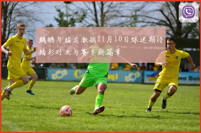 鹈鹕与猛龙激战11月10日球迷期待精彩对决与赛季新篇章